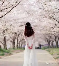  还去日本看樱花延安绝美樱花花海浪漫桃花林惊艳了整个春天