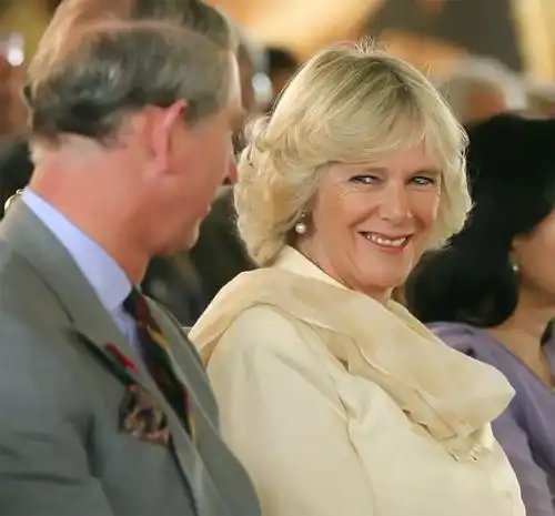  戴安娜是英王室难得一见的美人一双宝蓝色的大眼睛,清澈又迷人