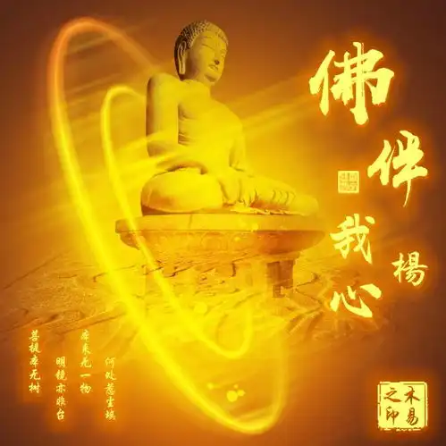  5款13张百家姓头像,4款14张百家姓头像,专为你而设计,不要错过