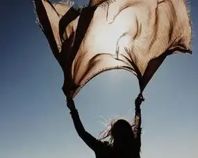  内涵有深度的一句话英文签名带翻译不畏将来不念过去