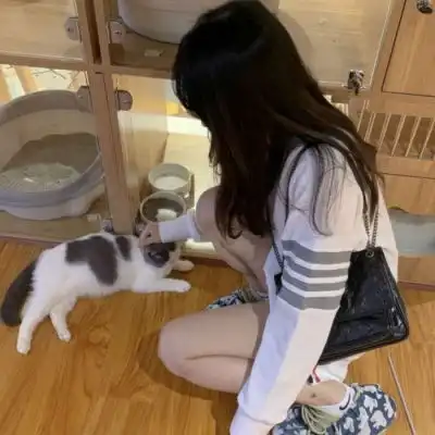  苏瓷对象不是人系列唯美可爱微信头像我要个性网