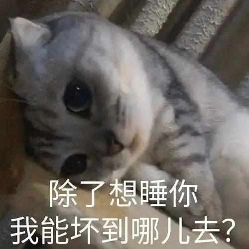  笑话段子我是一直都是靠美团外卖活着的,大多数都是同一个小哥哥送过来