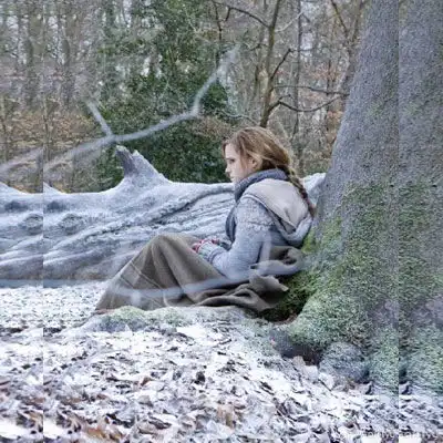  哈利波特头像图片大全哈利波特系列情侣头像