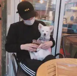  女生想你了,才故意问你下面3个问题,别装作不懂