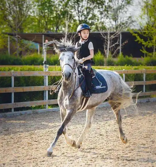  马上行动,等级骑士夏令营开营