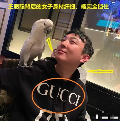 王思聪深夜晒照与鹦鹉比可爱,身后却藏着身材纤细的白衣女子