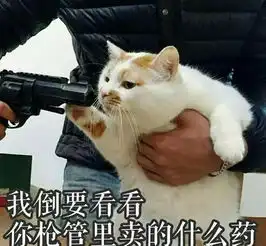  女生最富内涵潜台词,安利男生,不然怎么成功撩妹总第885期