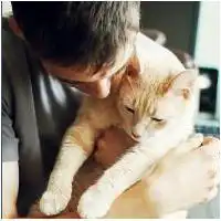  微信男头像动物微信头像图片大全