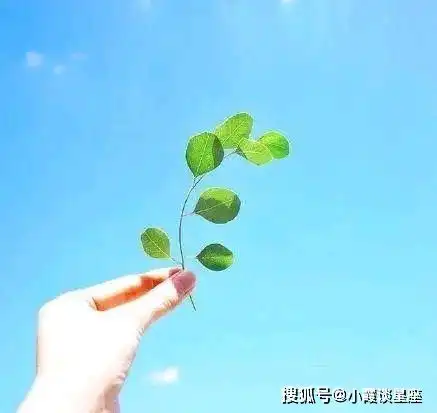  很火很流行的人生感悟句子,充满阳光的积极心态,超赞