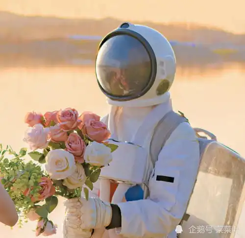  释疑解惑宇航员在上太空的时候为什么要带枪呢