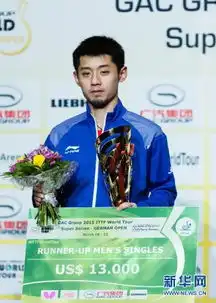  德国公开赛马龙胜张继科夺冠