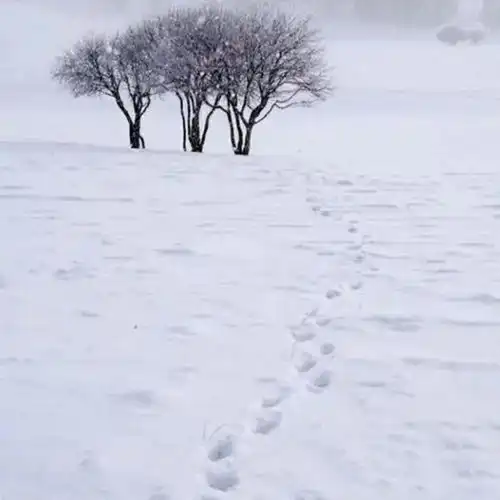  上万人隐居终南山,真的是远离世俗当地村民却直摇头假的