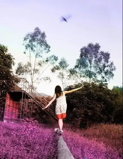  优美的句子,却倾诉着你悲伤的心情