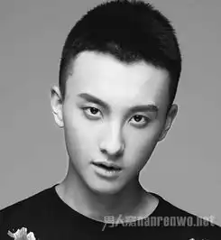  男生帅气脸型完美发型