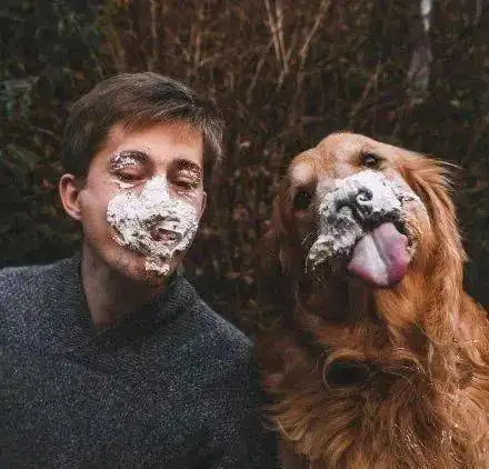  为了给自己留个念想,情侣和金毛拍了一组写真,真的太美了