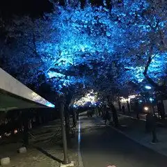  主题乐园特色市集...解锁韩国大邱主题玩法