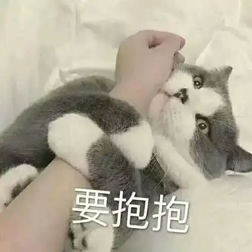 我们只是四个女生,就有三个遇见过猥亵