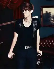  鹿晗井柏然杨洋陈伟霆霍建华男神全黑look谁最酷帅