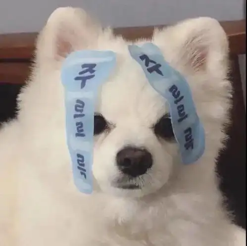  80张个性微信头像,总有一张适合你