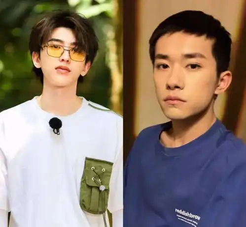  赵丽颖要冲奖转型,她接所有饼之前都会考虑这个题材适不适合提名