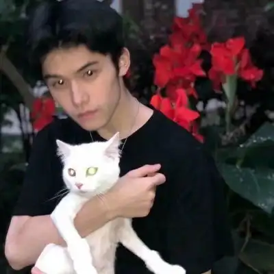  不明显的情头顾沈辞