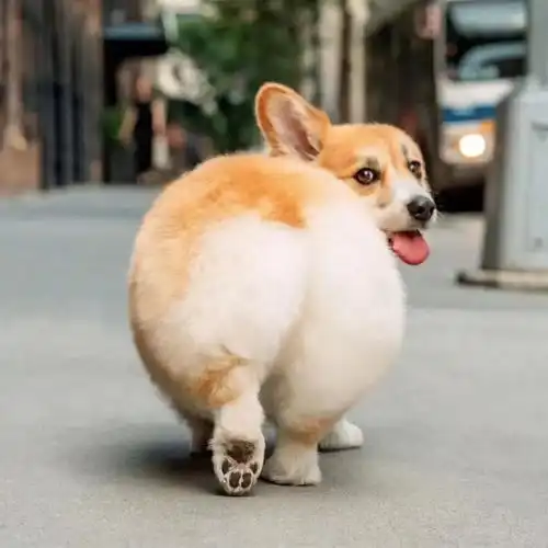  嘴巴倔强,内心却很脆弱的星座,可别无意中伤了他们