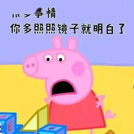  十大丑萌动物排名出炉没想到上榜的狗狗这么多哈哈哈