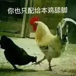  女上司手撕招惹男友的实习生小三槽多无口精彩又刺激...笑疯特