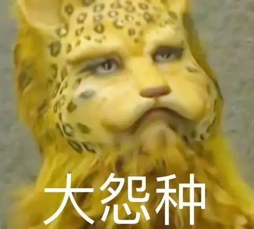 金钱豹表情包4.0版本已上线图文版,超级火