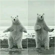  ohyeah我们这里不装空调也不...hao123网址导航