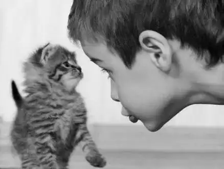  学点心理学的父母会有什么不同为什么引来那么多羡慕