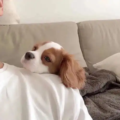  今日份巨好看的背景图