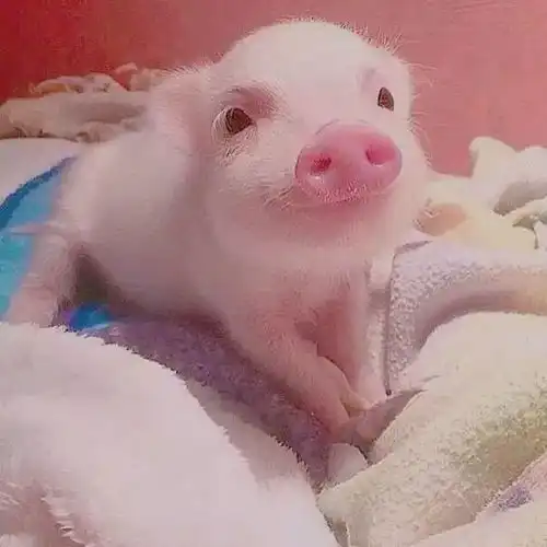  金湾人年前年后大对比看完整个人都不好了