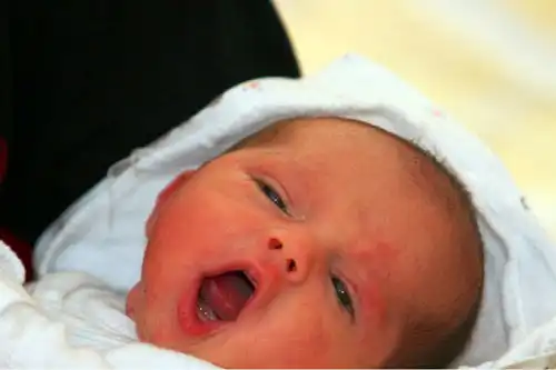  韦姓带东字女孩的名字