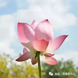 立夏将至,该如何养生