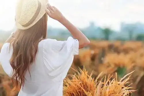  最伤人的,永远是单相思