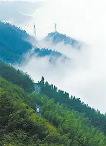  重庆森林避暑休闲地这些天然氧吧森林覆盖率70以上