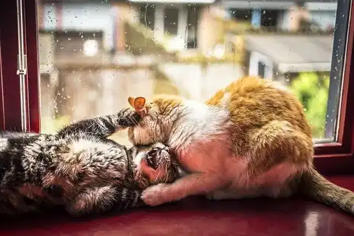  下雨了,我要你陪在我身旁