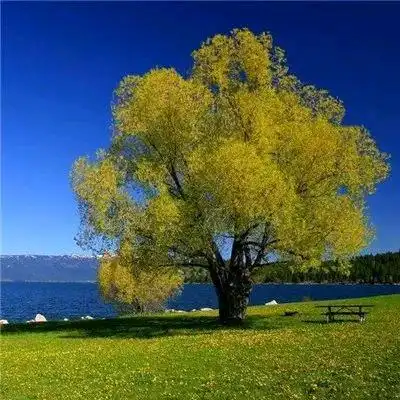  适合男生的治愈风景今日头条