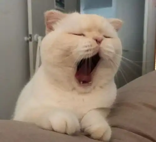  恶搞情头火了,情敌看了都眼红,网友图已收好,对象哪里领