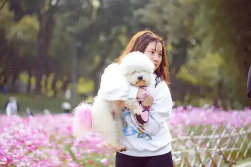  别怪我不告诉你,此刻在中心广场转角可遇到浪漫哟