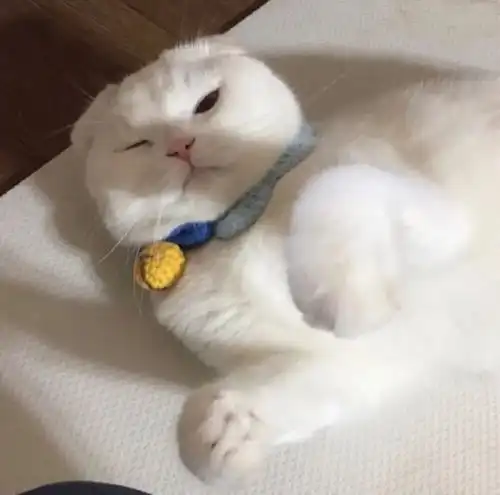 网易云音乐热评墙你怎么舍得,让一个满眼都是你的人,扛着所有负面情绪