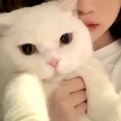  宠物和人系列头像的情头,情侣头像宠物和主人