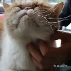  电话,地址,价格,营业时间温州美食