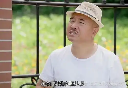  乡村爱情13刘能换人了,刘英胖了,谢飞机长大了