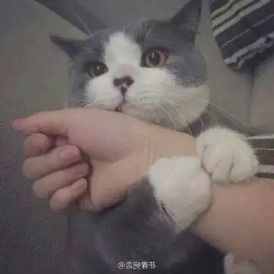 bifacom
