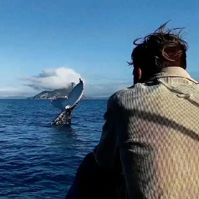  2023最新高质感背影男生头像