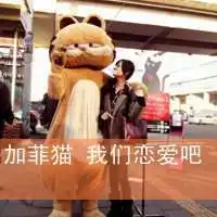  电影加菲猫高清头像黄色可爱加菲猫微信头像