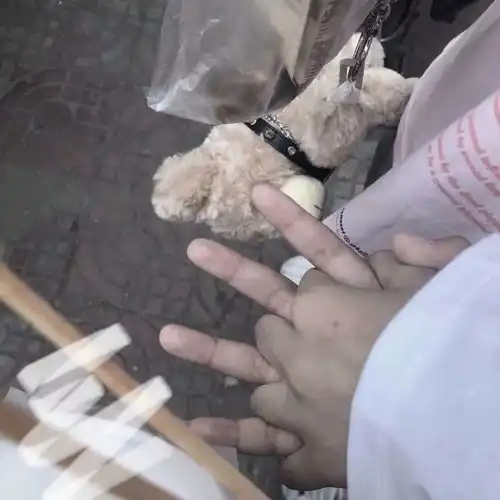 背景图情侣款背景处处是暴击