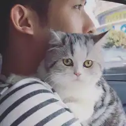  情侣头像从前很慢,一生只够爱一个人